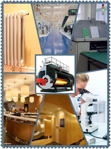 山东厂家长期供应进口燃烧器及2吨燃气蒸汽锅炉，提供全面技术咨询