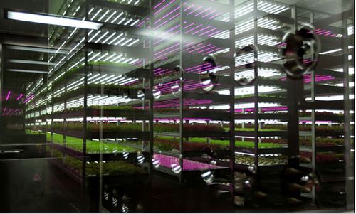 科技赋能，绿色未来 2018中国国际植物工厂及农业照明博览会即将在沪开幕